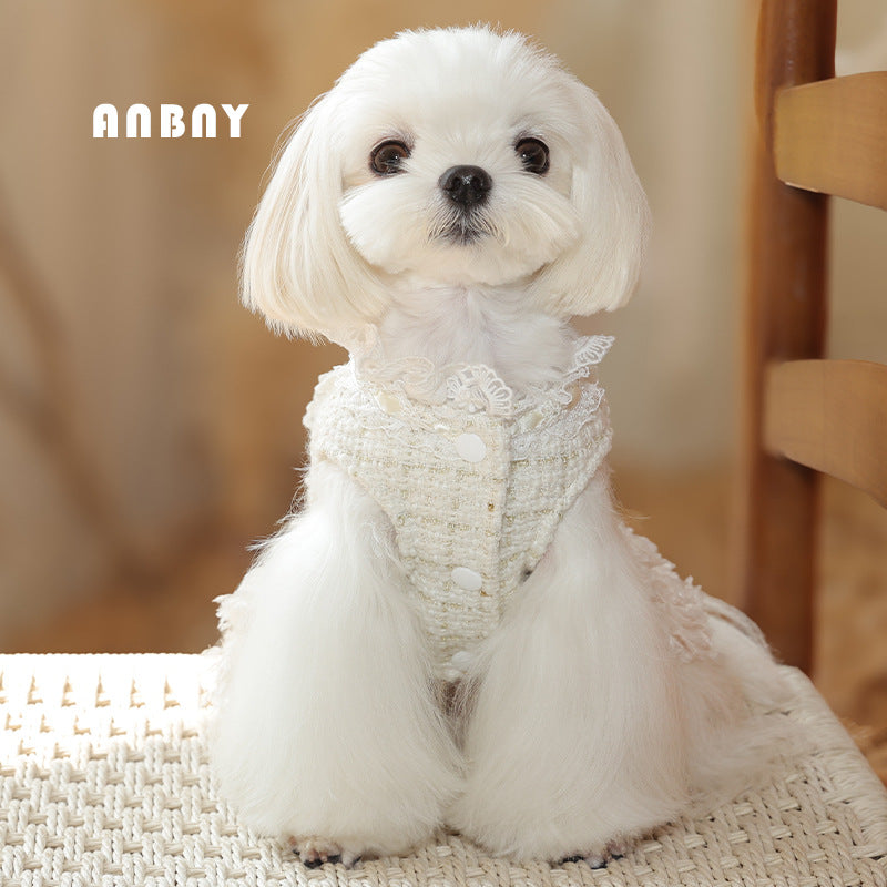 Autumn and Winter Princess Wind Warm Pet Clothes Dog Bear Teddy Small and Medium Dog Xiaoxiangfeng Skirt
